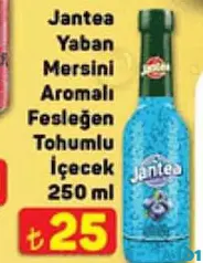 JANTEA YABAN MERSİNİ AROMALI FESLEĞEN TOHUMLU İÇECEK 250 ML